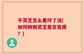 干灵芝怎么看坏了没(如何辨别灵芝是否变质？)