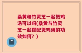 桑黄和竹灵芝一起煲鸡汤可以吗(桑黄与竹灵芝一起搭配煲鸡汤的功效如何？)