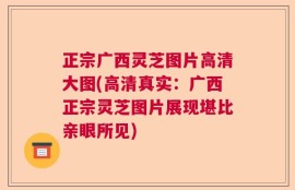 正宗广西灵芝图片高清大图(高清真实：广西正宗灵芝图片展现堪比亲眼所见)
