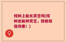 棕树上能长灵芝吗(棕树也能种灵芝，惊艳双倍效果！)