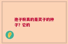 孢子粉真的是灵子的种子？它的