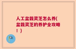 人工盆栽灵芝怎么养(盆栽灵芝的养护全攻略！)