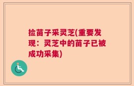 捡苗子采灵芝(重要发现：灵芝中的苗子已被成功采集)