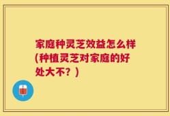 家庭种灵芝效益怎么样(种植灵芝对家庭的好处大不？)
