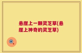 悬崖上一颗灵芝草(悬崖上神奇的灵芝草)