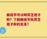 肺结节可以喝灵芝孢子粉？了解肺结节和灵芝孢子粉的关系？