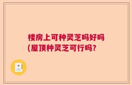 楼房上可种灵芝吗好吗(屋顶种灵芝可行吗？