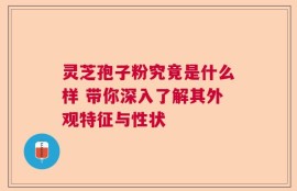 灵芝孢子粉究竟是什么样 带你深入了解其外观特征与性状