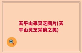 天平山采灵芝图片(天平山灵芝采摘之美)