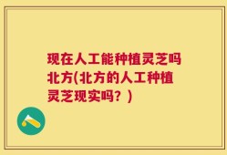 现在人工能种植灵芝吗北方(北方的人工种植灵芝现实吗？)