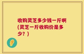 收购灵芝多少钱一斤啊(灵芝一斤收购价是多少？)