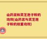 山药泥和灵芝孢子粉的功效(山药泥与灵芝孢子粉的双重功效)