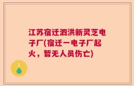 江苏宿迁泗洪新灵芝电子厂(宿迁一电子厂起火，暂无人员伤亡)