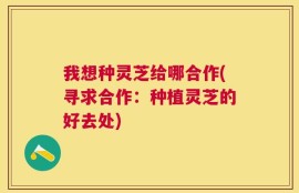 我想种灵芝给哪合作(寻求合作：种植灵芝的好去处)