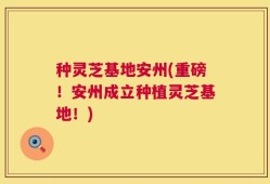 种灵芝基地安州(重磅！安州成立种植灵芝基地！)