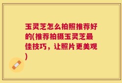 玉灵芝怎么拍照推荐好的(推荐拍摄玉灵芝最佳技巧，让照片更美观)