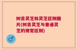 树舌灵芝和灵芝区别图片(树舌灵芝与普通灵芝的视觉区别)
