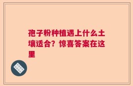 孢子粉种植遇上什么土壤适合？惊喜答案在这里