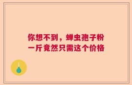 你想不到，蝉虫孢子粉一斤竟然只需这个价格