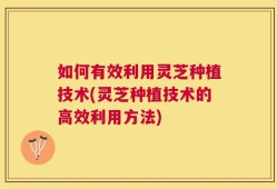 如何有效利用灵芝种植技术(灵芝种植技术的高效利用方法)