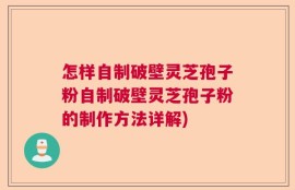 怎样自制破壁灵芝孢子粉自制破壁灵芝孢子粉的制作方法详解)