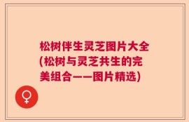 松树伴生灵芝图片大全(松树与灵芝共生的完美组合——图片精选)