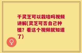 干灵芝可以栽培吗视频讲解(灵芝可否自己种植？看这个视频就知道了)