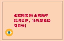 水族箱灵芝(水族箱中栽培灵芝，壮观景象吸引目光)