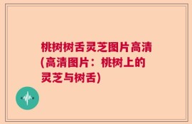 桃树树舌灵芝图片高清(高清图片：桃树上的灵芝与树舌)