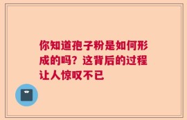 你知道孢子粉是如何形成的吗？这背后的过程让人惊叹不已