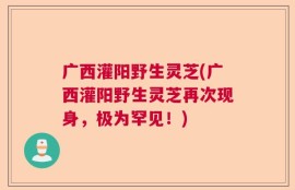 广西灌阳野生灵芝(广西灌阳野生灵芝再次现身，极为罕见！)