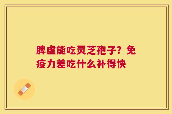 脾虚能吃灵芝孢子？免疫力差吃什么补得快