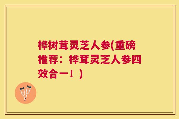 桦树茸灵芝人参(重磅推荐：桦茸灵芝人参四效合一！)