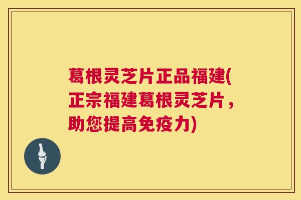 葛根灵芝片正品福建(正宗福建葛根灵芝片，助您提高免疫力)
