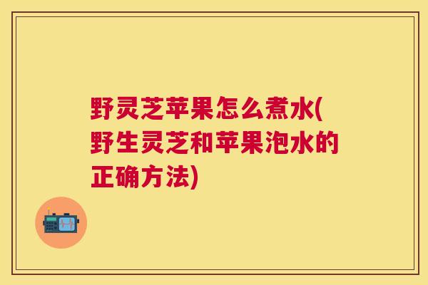 野灵芝苹果怎么煮水(野生灵芝和苹果泡水的正确方法)