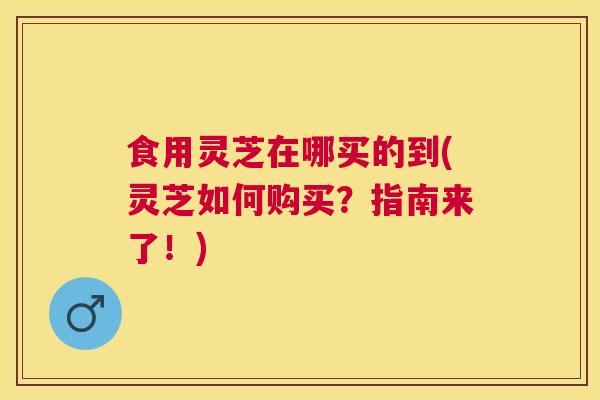 食用灵芝在哪买的到(灵芝如何购买？指南来了！)
