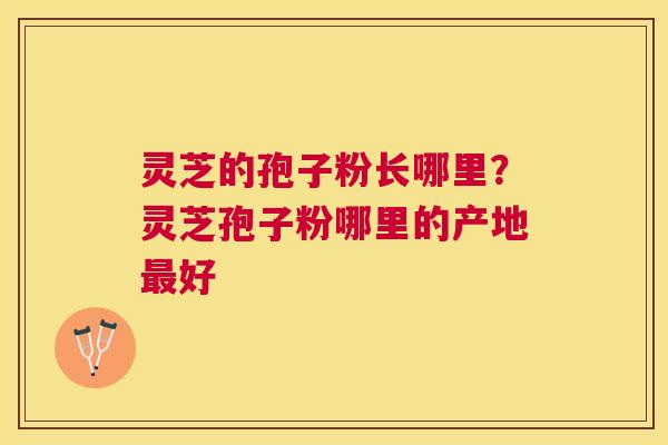 灵芝的孢子粉长哪里？灵芝孢子粉哪里的产地好