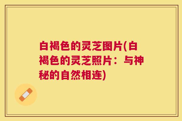 白褐色的灵芝图片(白褐色的灵芝照片：与神秘的自然相连)