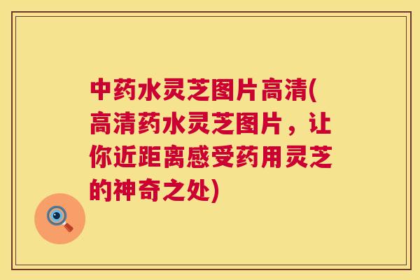 水灵芝图片高清(高清药水灵芝图片，让你近距离感受药用灵芝的神奇之处)