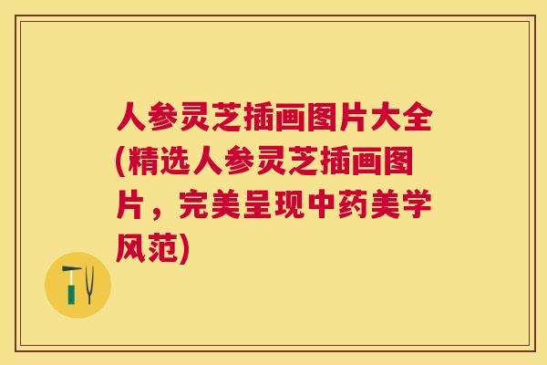 人参灵芝插画图片大全(精选人参灵芝插画图片，完美呈现美学风范)