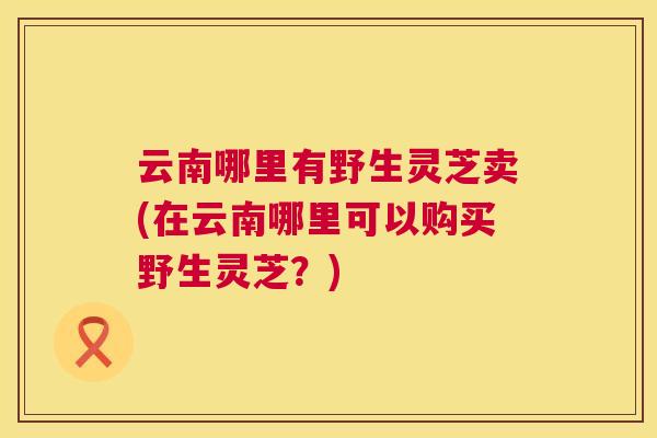 云南哪里有野生灵芝卖(在云南哪里可以购买野生灵芝？)