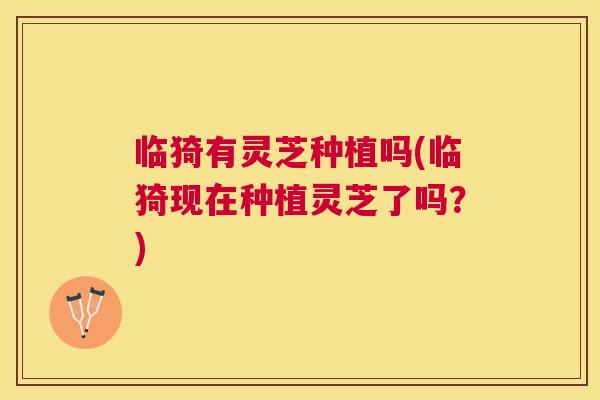 临猗有灵芝种植吗(临猗现在种植灵芝了吗？)