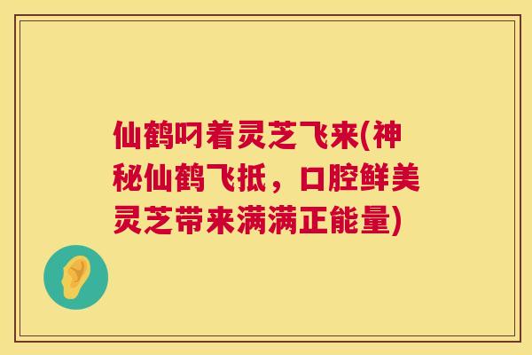 仙鹤叼着灵芝飞来(神秘仙鹤飞抵，口腔鲜美灵芝带来满满正能量)