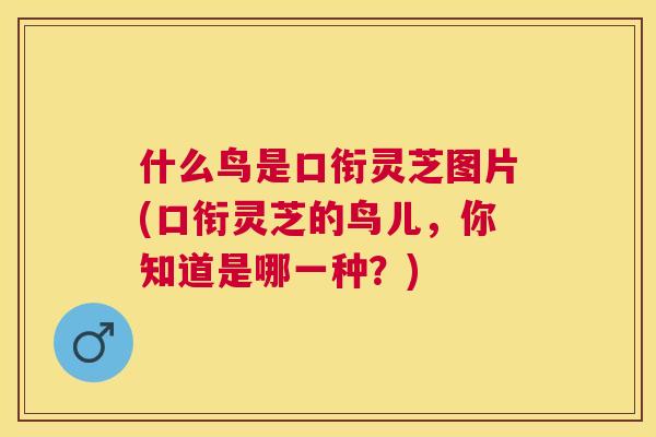 什么鸟是口衔灵芝图片(口衔灵芝的鸟儿，你知道是哪一种？)