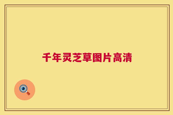 千年灵芝草图片高清