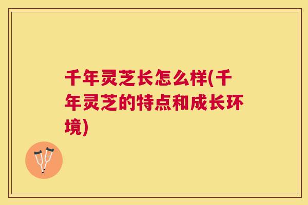 千年灵芝长怎么样(千年灵芝的特点和成长环境)