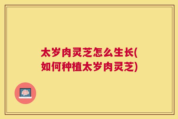 太岁肉灵芝怎么生长(如何种植太岁肉灵芝)