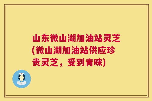 山东微山湖加油站灵芝(微山湖加油站供应珍贵灵芝，受到青睐)