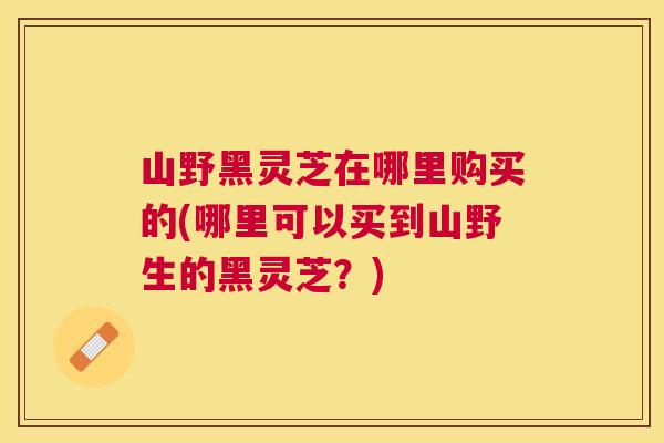 山野黑灵芝在哪里购买的(哪里可以买到山野生的黑灵芝？)