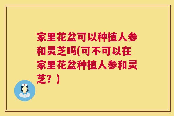 家里花盆可以种植人参和灵芝吗(可不可以在家里花盆种植人参和灵芝？)